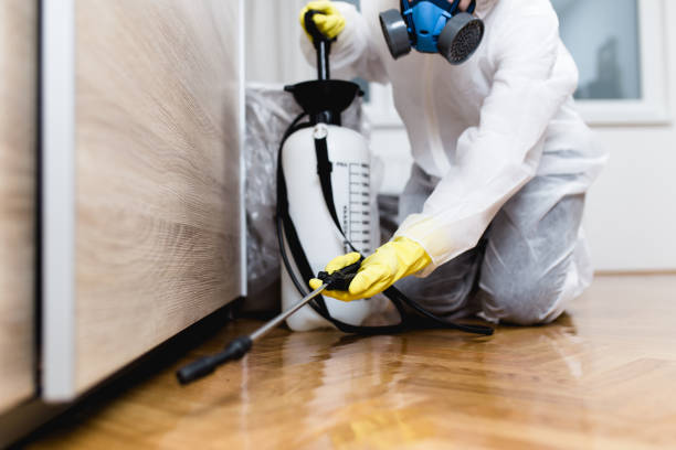 Best Bed Bug Extermination  in Jefferson, IA