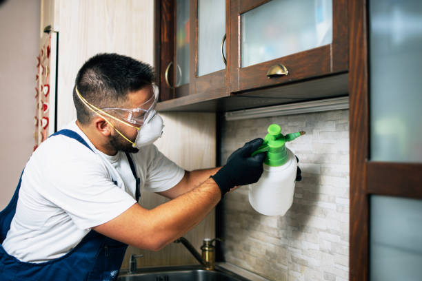 Best Pest Prevention Services  in Jefferson, IA
