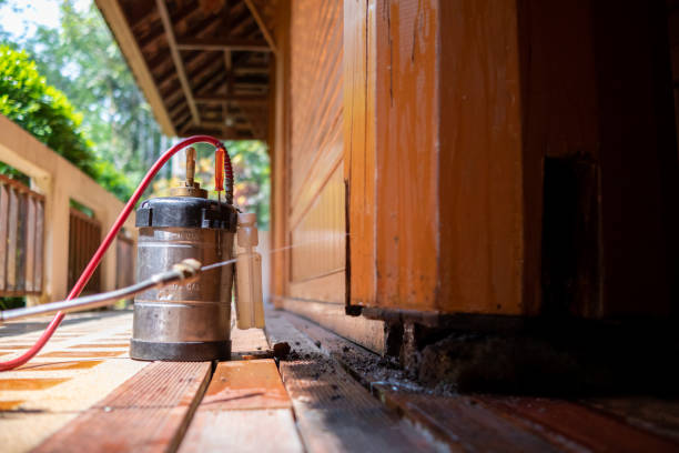 Best Local Pest Control Services  in Jefferson, IA