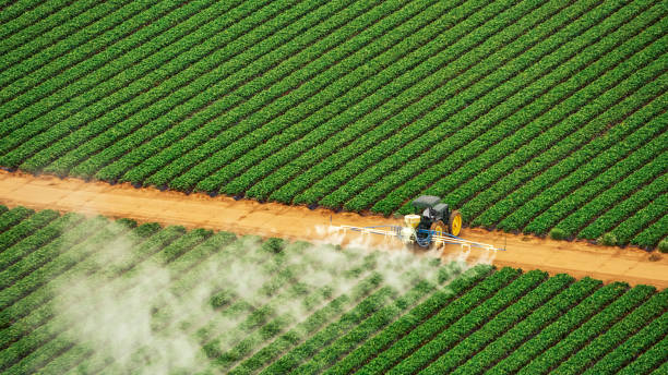 Trusted Jefferson, IA Pest Control Experts