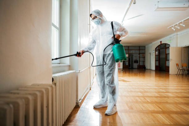 Best Affordable Pest Control Services  in Jefferson, IA