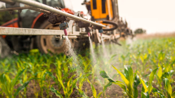 Best Pest Removal Services  in Jefferson, IA